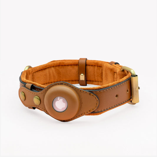 Premium Airtag Dog Collar